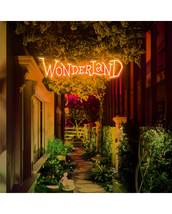 Work Hard Be Nice: Illuminate Your Space with Positive Vibes