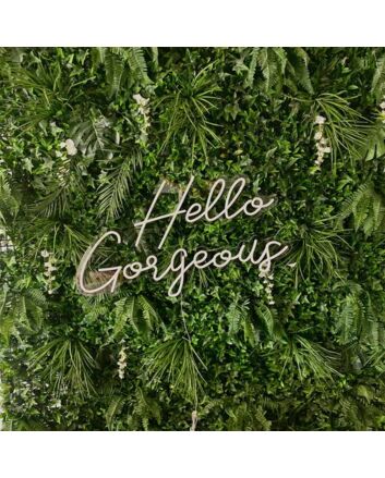 Hello Gorgeous Neon Sign for Positive and Fun Spaces