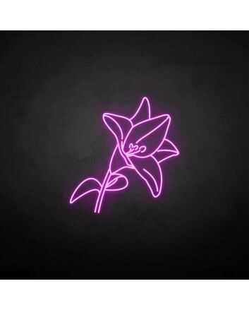 Lily&#39; neon sign