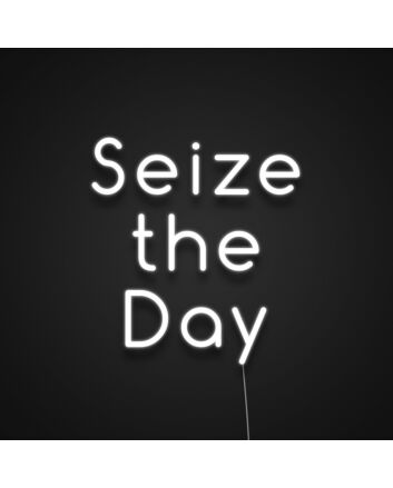 Seize The Day Neon Sign A reminder to make the most of each day
