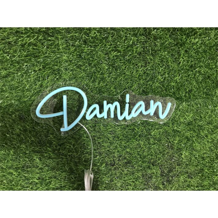 Bring Your Space to Life: Personalize Custom Damian LED Neon Sign for Home, Office, Bar, and Wedding Ambiance.