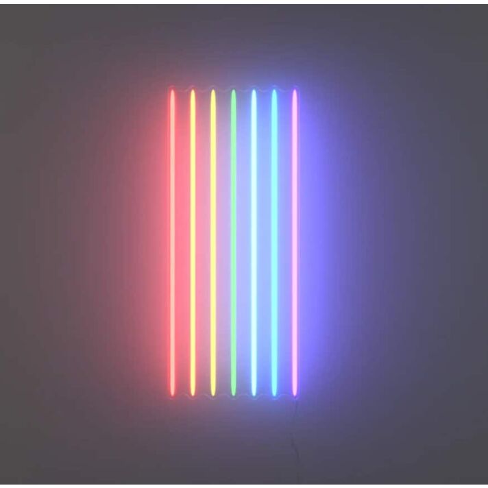 Rainbow Flag Neon Sign