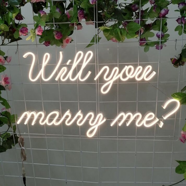 Will You Marry Me – Led Neon Sign