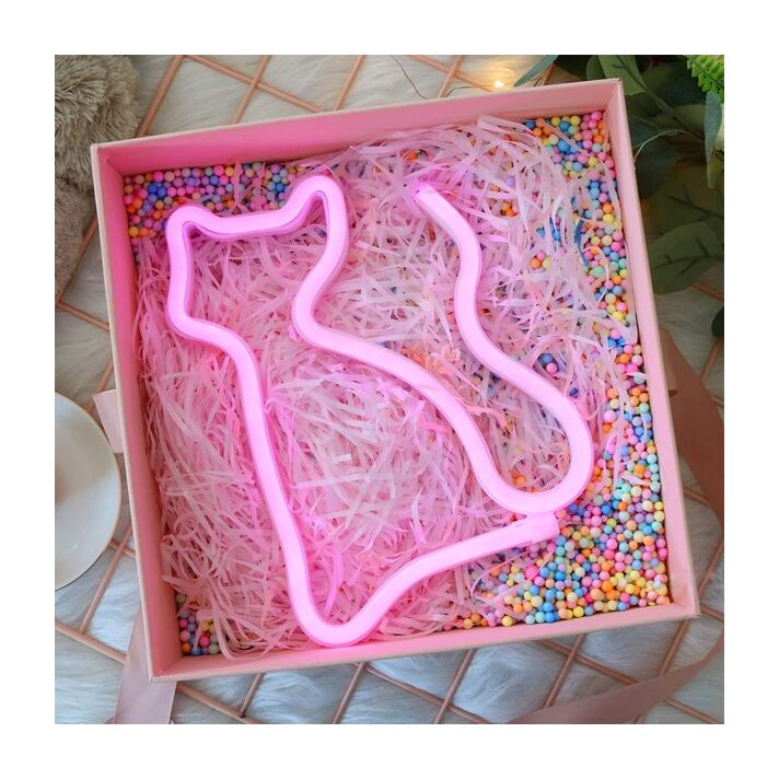 Cat Neon Acrylic Neon Light Sign