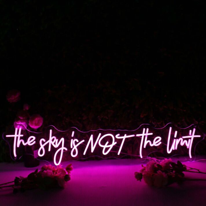 The Sky Is Not The Limit Pink Neon Sign