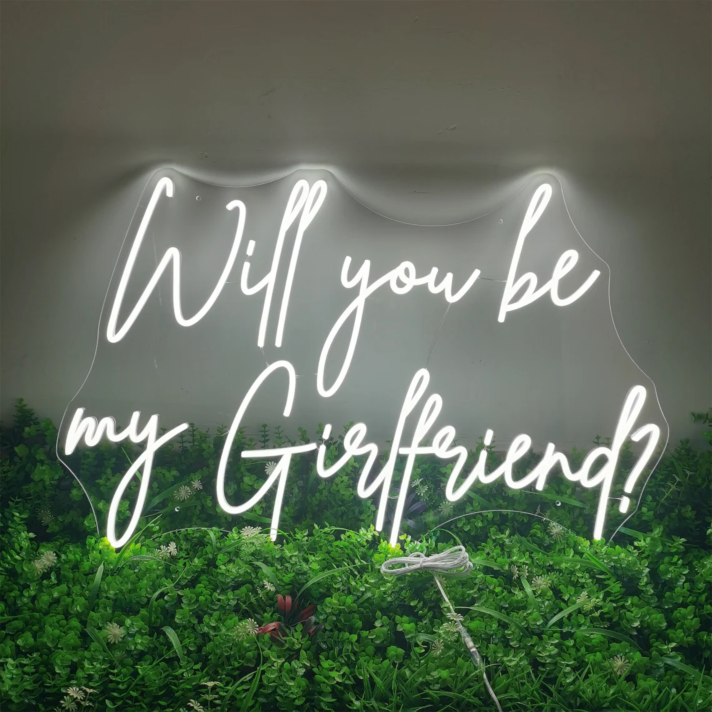 Will You Be My Girlfriend Neon Sign  v2