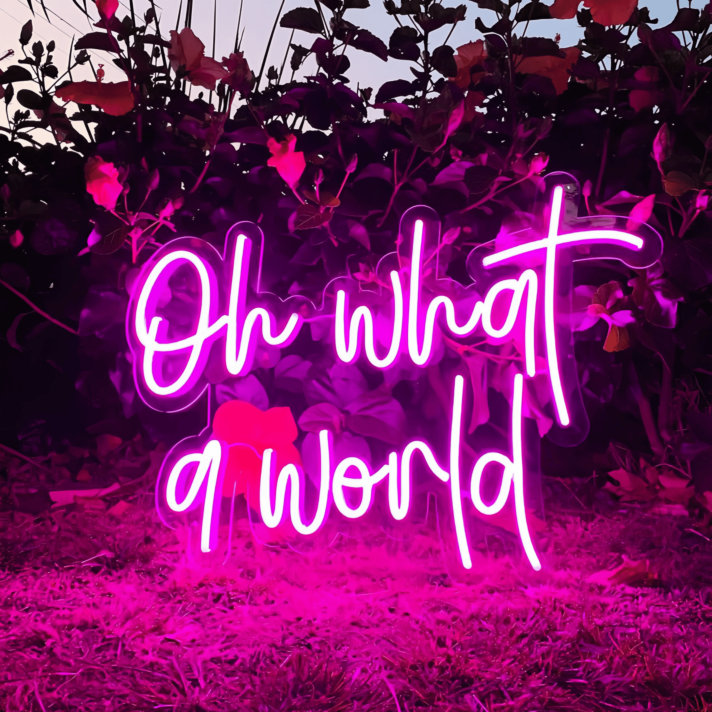 Oh What a World: Let Your Space Shine with Wonder!