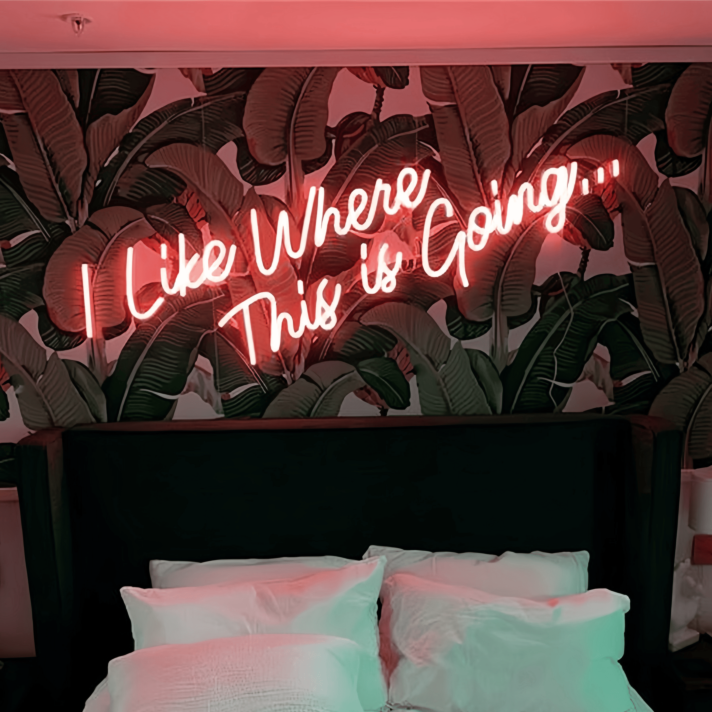 I Like Where This is Going Illuminated Neon Sign