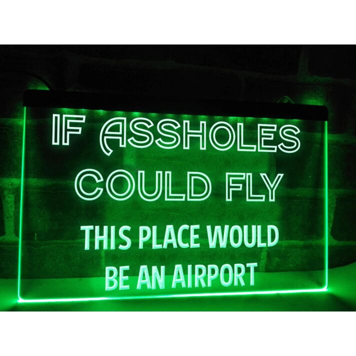 If Assholes Could Fly Funny Hanging Neon Sign
