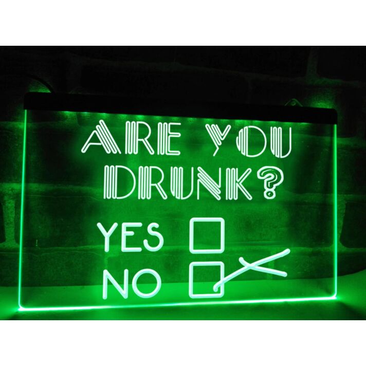 Are You Drunk Bar Hanging Neon Sign