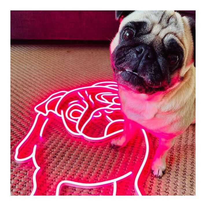 Cutie The Pug Neon Sign for Pet Lovers