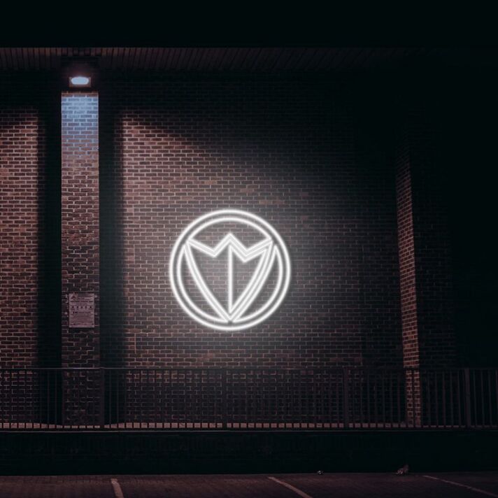 Falcon Neon Sign V2 for Bird Lovers