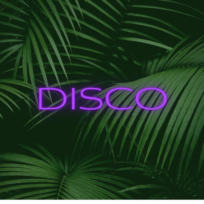 Brighten Up Your Nights: Disco LED Neon Sign for Bars, Clubs, and Festive Home Parties